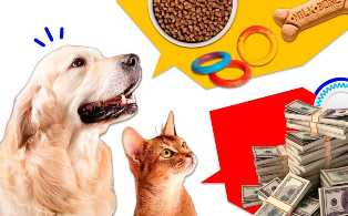 10 лучших бизнес-моделей в сфере домашних животных