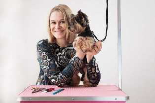 Бизнес идеи для владельцев домашних животных: создание мобильной парикмахерской для пушистых друзей