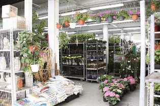 Бизнес идеи по продаже товаров для сада и огорода: открытие магазина