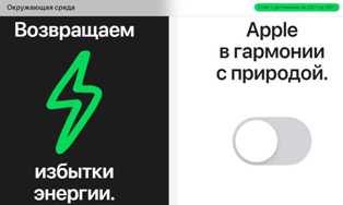 Экологические бизнес-идеи в сфере услуг для заботы о природе