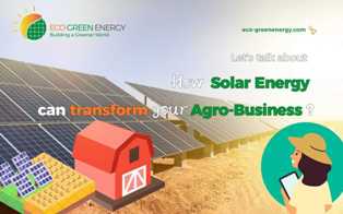 Идея для бизнеса: производство солнечных батарей для сельского хозяйства