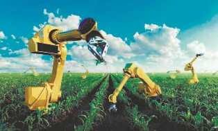 Инновационные идеи в сельском хозяйстве: 10 проектов, которые могут изменить отрасль