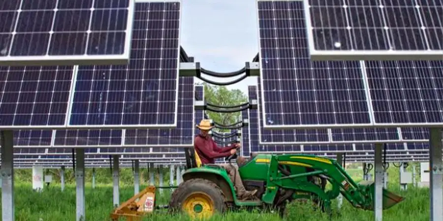 Использование солнечной энергии в аграрном секторе: новые возможности для бизнеса