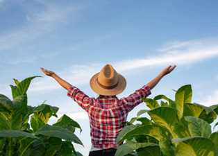 Как заработать на сельском хозяйстве без земли: 5 перспективных бизнес-идей