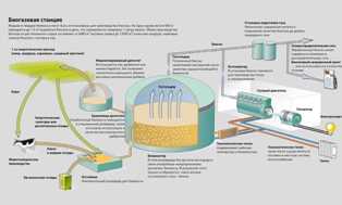 Переработка сельскохозяйственных отходов в биогаз: энергия будущего