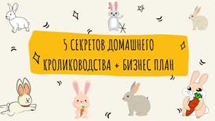 Создавайте бизнес в сфере разведения и продажи кроликов и других мелких животных