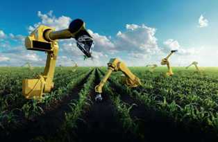 Умное сельское хозяйство: как технологии меняют бизнес