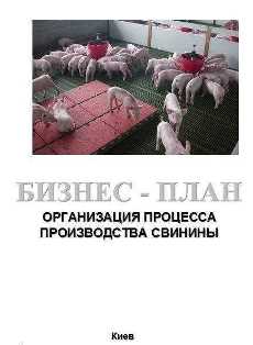 Развлекательный контент и подкасты - следующий шаг для свиноводства Бизнес идеи в сфере свиноводства: от мяса до свинокомплексов