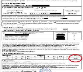 Как привлечь и увеличить количество новых клиентов молодых водителей в автомобильном страховании - идеи для развития и повышения продаж. Идеи для развития автомобильного страхования для молодых водителей: как привлечь новых клиентов и увеличить продажи