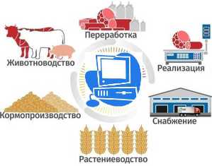 Инновации в животноводстве - какие технологии помогут увеличить прибыль вашего бизнеса Инновационные подходы в животноводстве: какие технологии помогут развить ваш бизнес