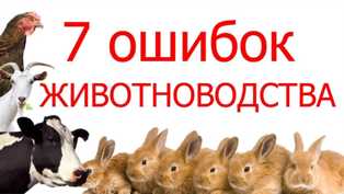 Секреты успешного бизнеса в животноводстве Как создать прибыльный бизнес в сфере животноводства