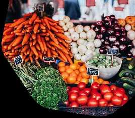 Снова в прибыльности - как начать бизнес на поставках мясных продуктов в рестораны и магазины Как заработать на поставках мясных продуктов в рестораны и магазины
