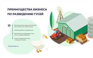 Как создать высокодоходный бизнес на разведении и продаже птиц? Как заработать на разведении и продаже птиц
