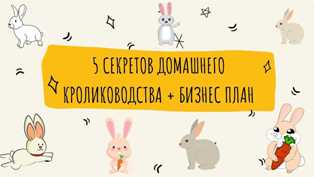 Идеи для успешного бизнеса - разведение и продажа кроликов и других мелких животных Создавайте бизнес в сфере разведения и продажи кроликов и других мелких животных